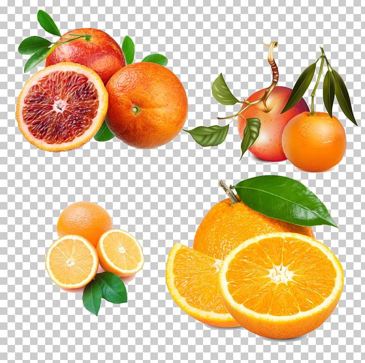 Fizzy Drinks Juice Carbonated Water Orange Soft Drink Cream Soda PNG, Clipart, Blood, Citrus, Drinking, Food, Fruit Free PNG Download