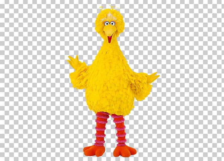 Sesame Street Big Bird PNG, Clipart, At The Movies, Sesame Street Free PNG Download