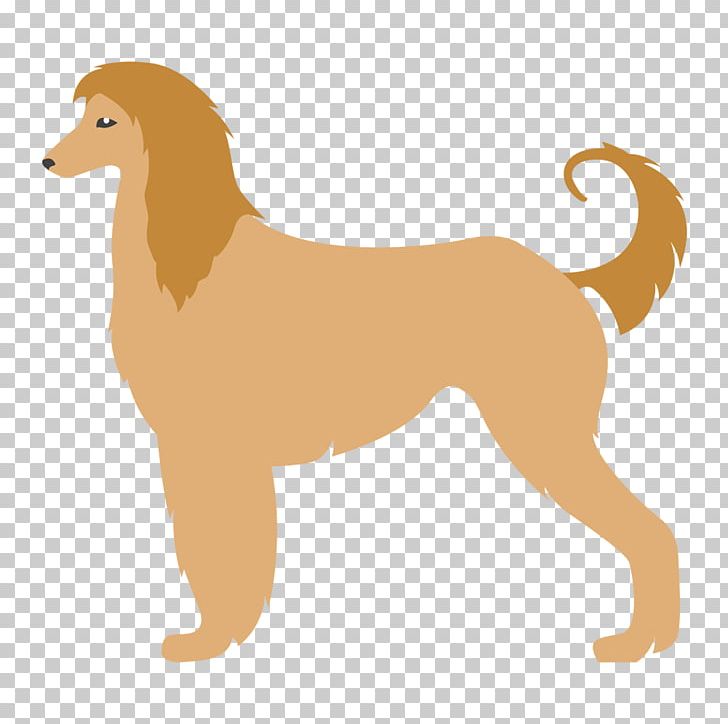 Afghan Hound Canaan Dog Saluki Kuchi Dog Scottish Deerhound PNG, Clipart, Afghan Hound, Amstaff, Breed, Canaan Dog, Carnivoran Free PNG Download
