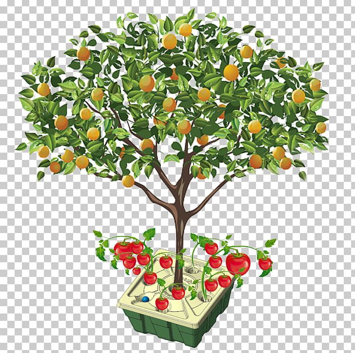 Fruit Tree Orange Apple PNG, Clipart, Apple, Berry, Branch, Citrus, Common Fig Free PNG Download