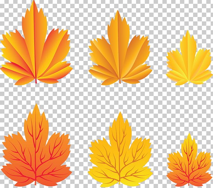 Autumn Leaves Leaf PNG, Clipart, Autumn, Autumn Leaf, Cdr, Country, Country Style Free PNG Download