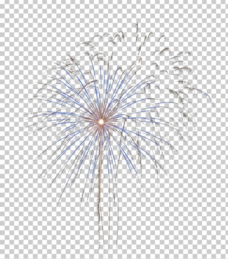Consumer Fireworks PNG, Clipart, Computer Wallpaper, Consumer Fireworks, Desktop Wallpaper, Firecracker, Fireworks Free PNG Download