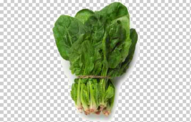 Leaf Vegetable Vegetable Chard Food Spinach PNG, Clipart, Arugula, Celtuce, Chard, Choy Sum, Flower Free PNG Download