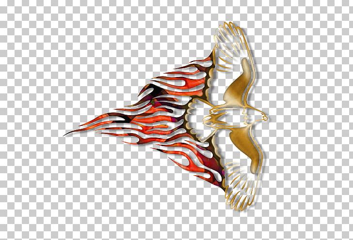 Bird Of Prey Beak Eagle PNG, Clipart, Animals, Beak, Bird, Bird Of Prey, Eagle Free PNG Download