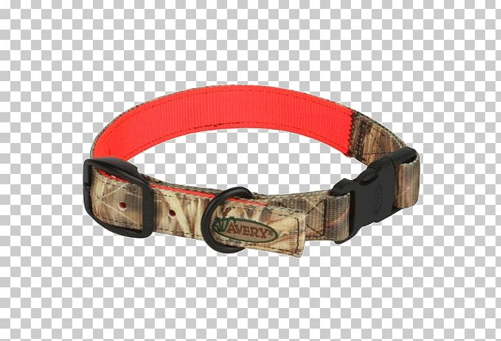 Dog Collar Dog Collar Leash Hunting Dog PNG, Clipart, Animals, Belt, Belt Buckle, Buckle, Collar Free PNG Download