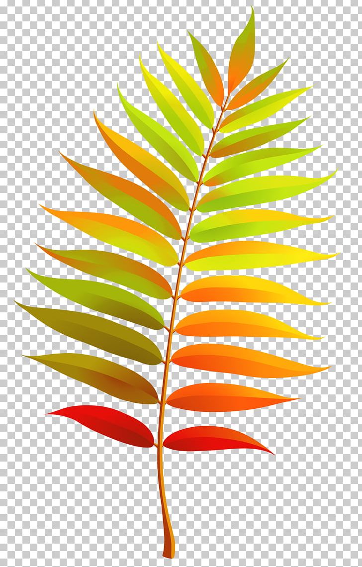 Leaf PNG, Clipart, Autumn, Autumn Leaf Color, Blog, Clipart, Clip Art Free PNG Download