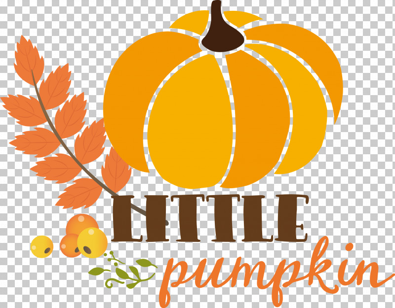 Little Pumpkin Thanksgiving Autumn PNG, Clipart, Autumn, Commodity, Flower, Fruit, Little Pumpkin Free PNG Download