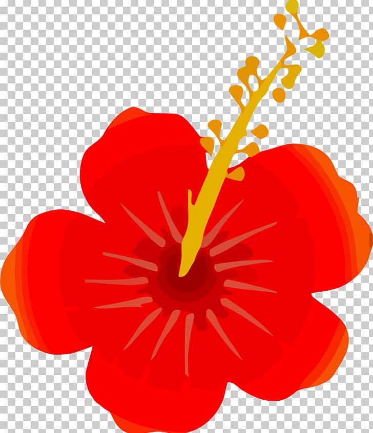 Flower Computer Icons PNG, Clipart, Computer Icons, Data, Flower, Flowering Plant, Herbaceous Plant Free PNG Download