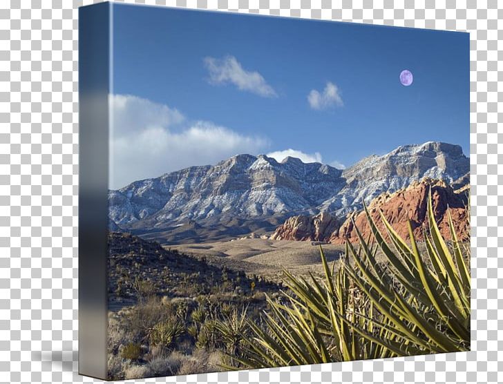 Mojave Desert Mount Scenery Painting Art PNG, Clipart, Art, Desert, Ecosystem, Elevation, Fell Free PNG Download