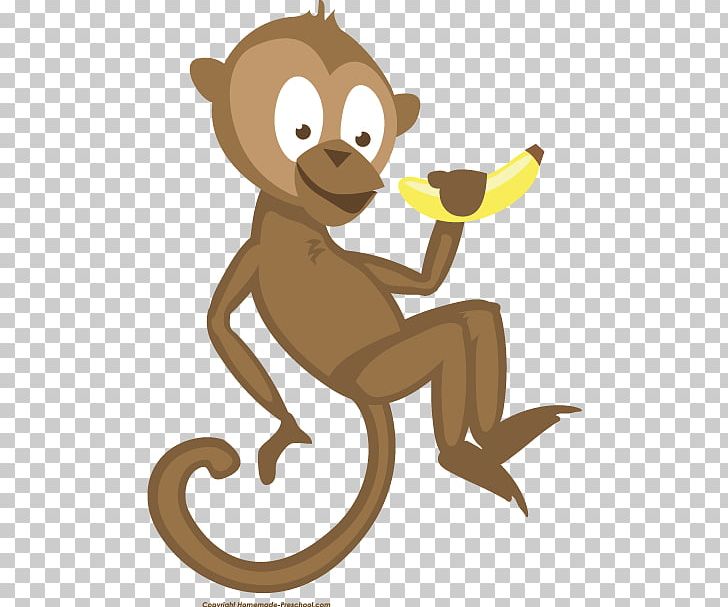 Monkey Primate Giant Panda Tail PNG, Clipart, Animal, Carnivoran, Cartoon, Cat Like Mammal, Clip Art Free PNG Download