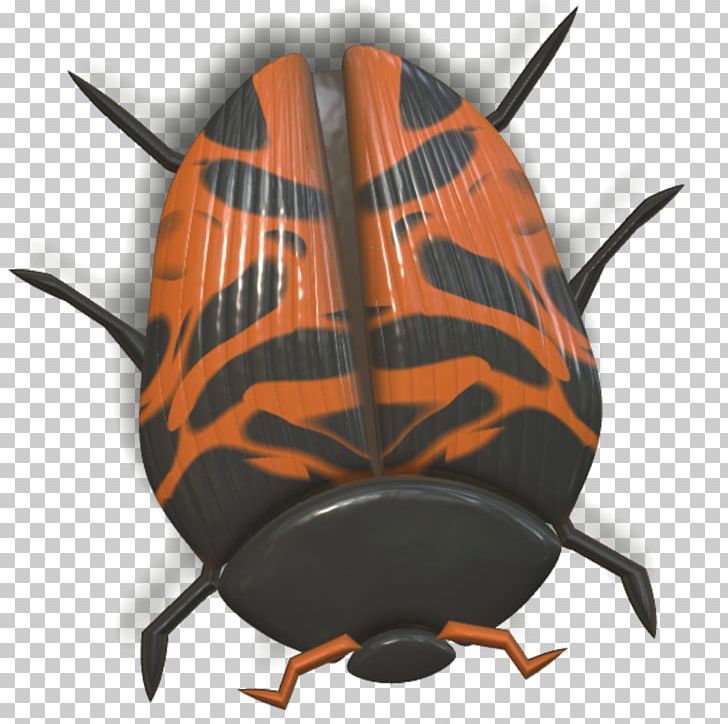 Beetle Orange Ladybird PNG, Clipart, 3d Computer Graphics, Animal, Animals, Beetle, Blue Free PNG Download