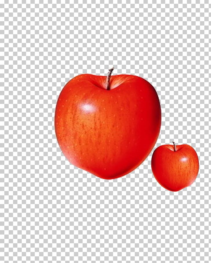 IPhone 6 IPhone X MacBook Apple PNG, Clipart, Apple, Apple Fruit, Apple Logo, Apples, Apple Tree Free PNG Download