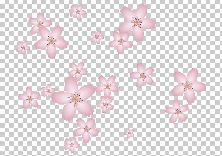 Petal Cherry Blossom Body Jewellery ST.AU.150 MIN.V.UNC.NR AD PNG, Clipart, Blossom, Body, Body Jewellery, Body Jewelry, Cherry Free PNG Download