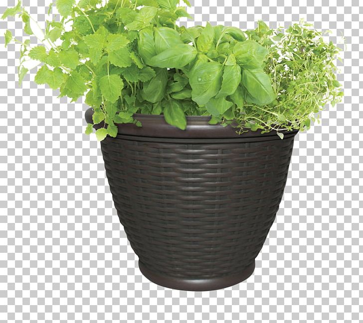 Stock Photography Flowerpot Thymes Houseplant Herb PNG, Clipart, Basil, Container Garden, Flowerpot, Food Drinks, Garden Free PNG Download