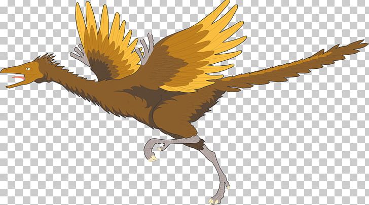 Archaeopteryx: The First Bird Archaeopteryx: The First Bird Dinosaur PNG, Clipart, Ancient, Animals, Archaeopteryx, Beak, Bird Free PNG Download
