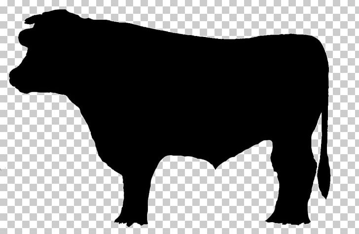 Dairy Cattle Bull Brangus Chophouse Restaurant Ox PNG, Clipart, Ale, Animals, Black, Black And White, Brangus Free PNG Download