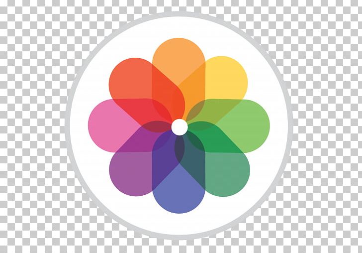 Flower Petal Pattern PNG, Clipart, Apple Id, Apple Photos, Application, App Store, Circle Free PNG Download