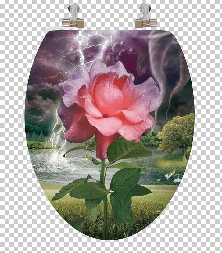 Garden Roses Toilet & Bidet Seats Wood PNG, Clipart, 3d Film, Bowl, Chrome Plating, Cut Flowers, Floral Design Free PNG Download