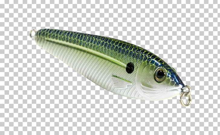Sardine Spoon Lure Oily Fish AC Power Plugs And Sockets PNG, Clipart, Ac Power Plugs And Sockets, Bait, Ebs, Fish, Fishing Bait Free PNG Download