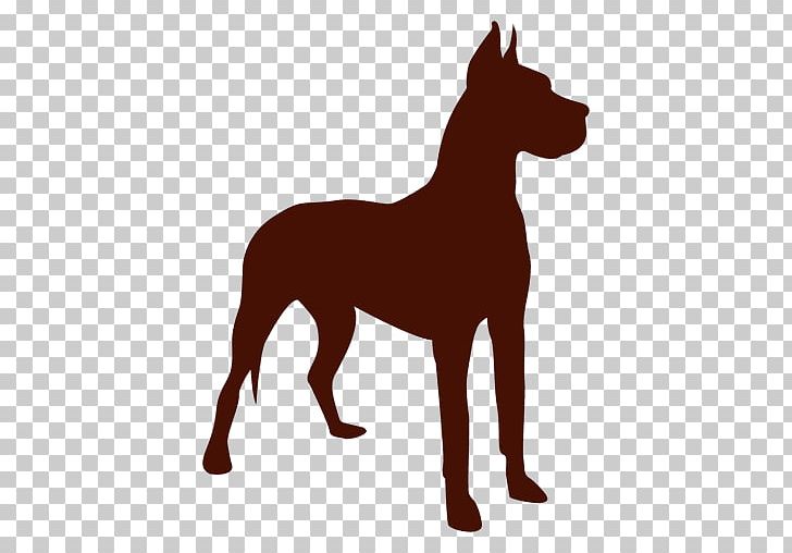 Dog Breed Great Dane Puppy Pembroke Welsh Corgi Chow Chow PNG, Clipart, Animals, Breed Group Dog, Carnivoran, Chow Chow, Dog Free PNG Download