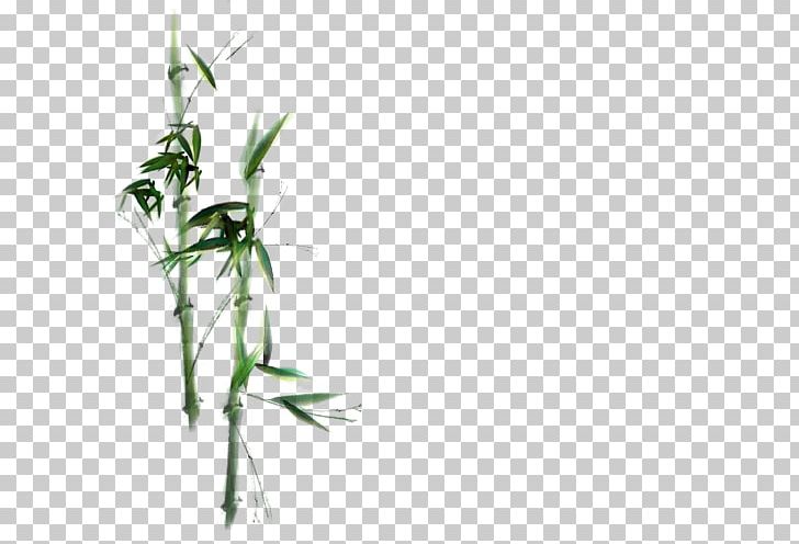 Bamboo Twig Plant Stem PNG, Clipart, Bamboo, Bamboo Forest, Branch, Flora, Forest Free PNG Download