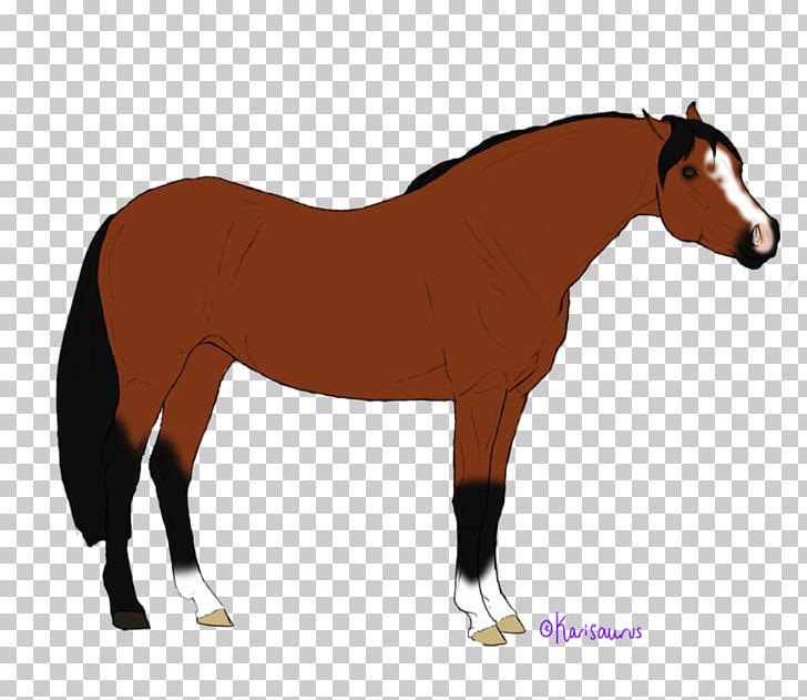 Foal Stallion Mustang Mare Colt PNG, Clipart, Animal, Animal Figure, Bit, Bridle, Colt Free PNG Download