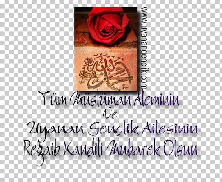 Greeting & Note Cards Muhammad Font PNG, Clipart, Flower, Greeting, Greeting Card, Greeting Note Cards, Love Free PNG Download