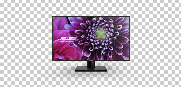 LCD Monitor PA328Q Computer Monitors IPS Panel ASUS Ultra-high-definition Television PNG, Clipart, 4 K, 4 K Uhd, 4k Resolution, Asus, Computer Monitor Free PNG Download