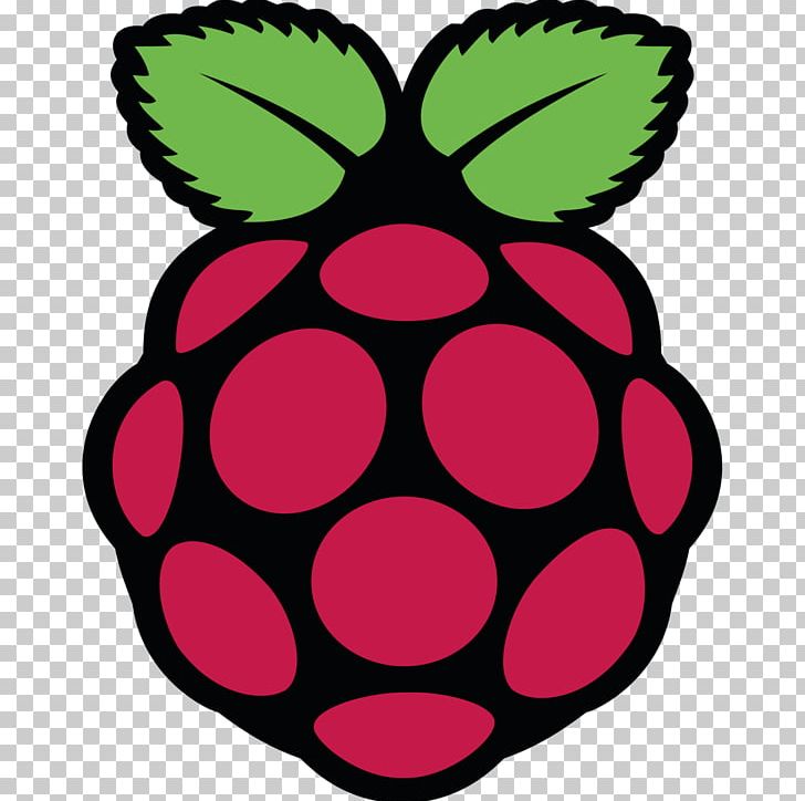 Raspberry Pi Foundation Computer USB Linux PNG, Clipart, Arm11, Computer, Debian, Do It Yourself, Flower Free PNG Download