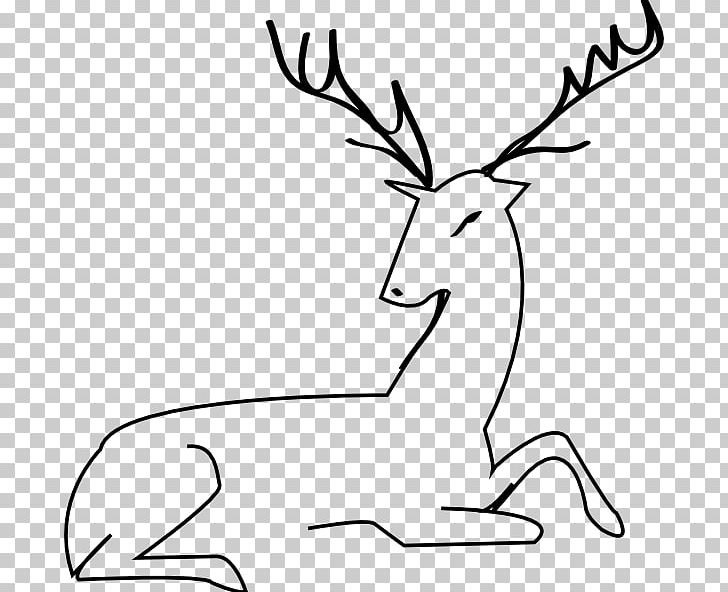 Reindeer Red Deer White-tailed Deer Antler PNG, Clipart, Animals, Antler, Black And White, Coloring Book, Deer Free PNG Download