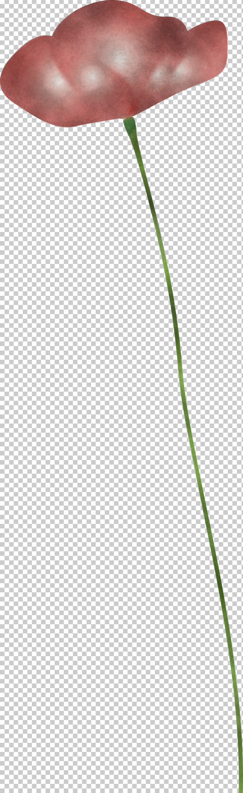 Poppy Flower PNG, Clipart, Flower, Grass, Grass Family, Green, Leaf Free PNG Download