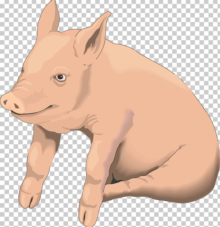 Domestic Pig PNG, Clipart, Animals, Boar, Cattle Like Mammal, Computer Icons, Desktop Wallpaper Free PNG Download
