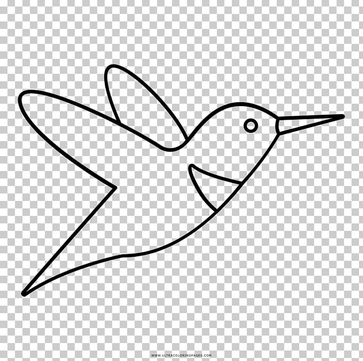 Hummingbird Drawing Black And White Coloring Book PNG, Clipart, Angle, Area, Art, Artwork, Ausmalbild Free PNG Download