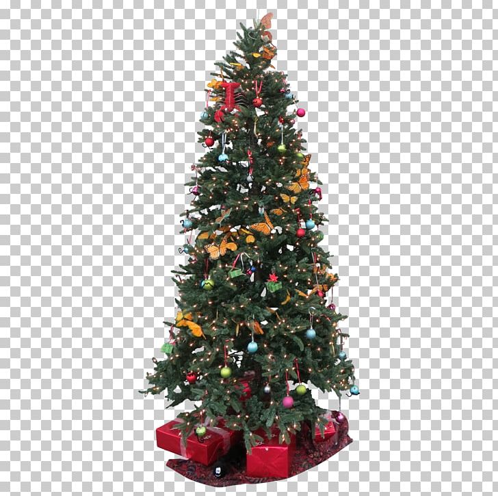 Norway Spruce Christmas Tree Christmas Lights PNG, Clipart, Christmas, Christmas Decoration, Christmas Lights, Christmas Ornament, Christmas Tree Free PNG Download