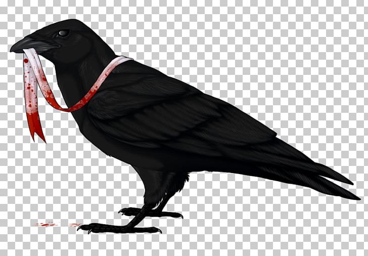 American Crow Common Raven Bird Drawing PNG, Clipart, American Crow, Animals, Art, Beak, Bird Free PNG Download