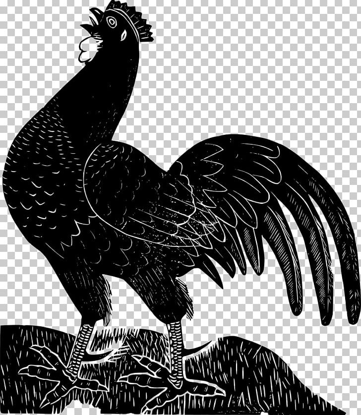 Ayam Cemani Leghorn Chicken Rooster Poultry Farming PNG, Clipart, Ayam Cemani, Beak, Bird, Bird Of Prey, Black Free PNG Download