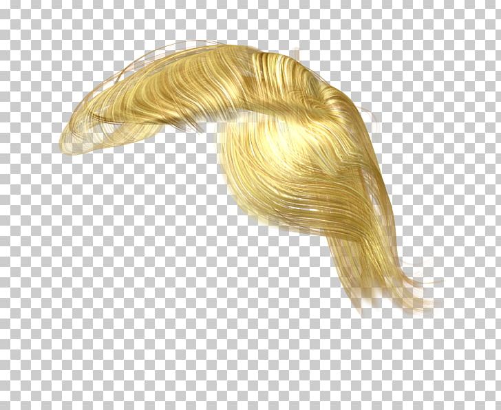 Hair Photography PNG, Clipart, 3d Computer Graphics, Alpha Compositing, Caricature, Donald Trump, Graphics Software Free PNG Download