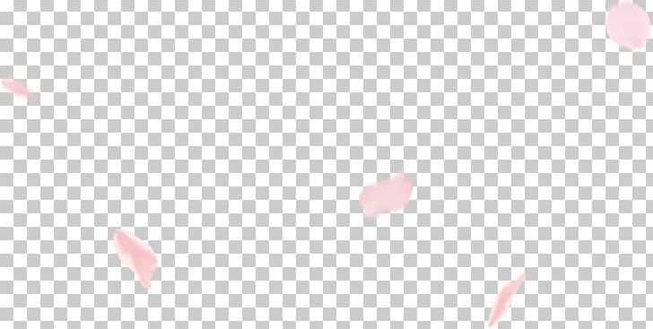 Light Pink Magenta White Red PNG, Clipart, Beauty, Circle, Closeup, Closeup, Computer Free PNG Download
