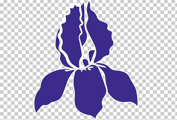 Petal Leaf Flowering Plant PNG, Clipart, Electric Blue, Flora, Flower, Flowering Plant, Hope Free PNG Download