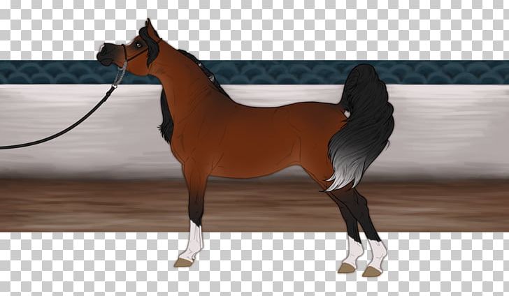 Stallion Mustang Foal Mare Halter PNG, Clipart, Bridle, Foal, Halter, Horse, Horse Like Mammal Free PNG Download