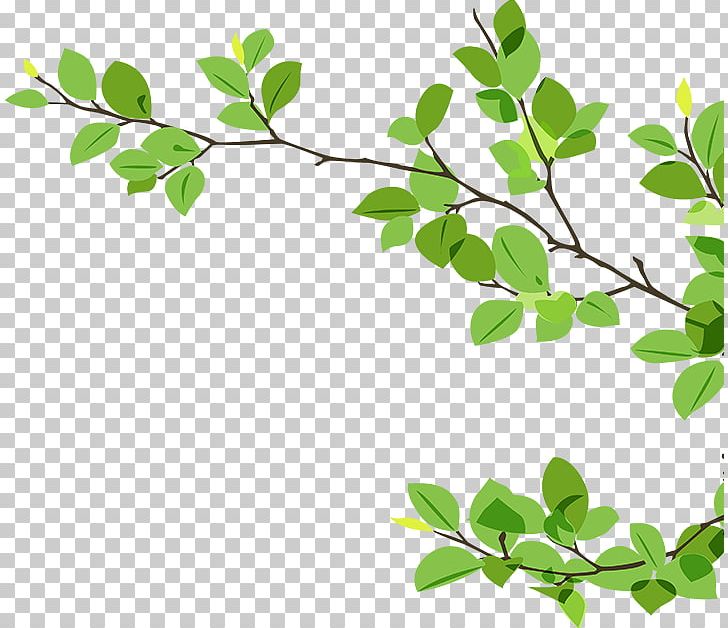 Branch Twig PNG, Clipart, Art Green, Branch, Clip Art, Desktop Wallpaper, Download Free PNG Download