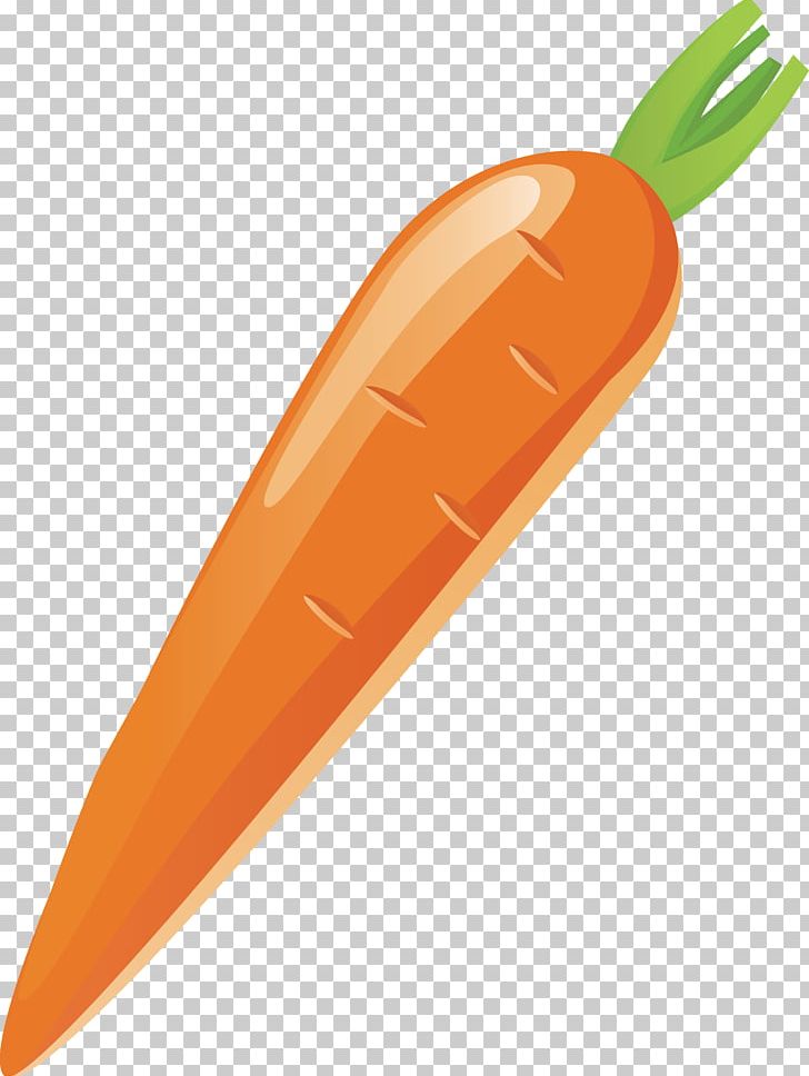 Carrot Vegetable PNG, Clipart, Bunch Of Carrots, Carrot, Carrot Cartoon, Carrot Juice, Carrots Free PNG Download