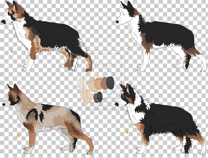 Dog Breed Border Collie Rough Collie Tail PNG, Clipart, Border Collie, Breed, Carnivoran, Dog, Dog Breed Free PNG Download
