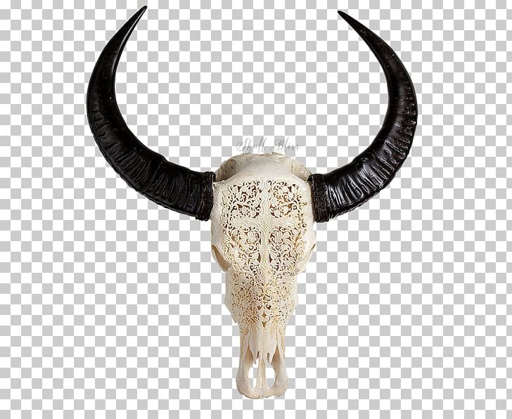 Cattle Décoration Furniture Skull Decorative Arts PNG, Clipart, Art, Bohochic, Bone, Buffalo, Cattle Free PNG Download