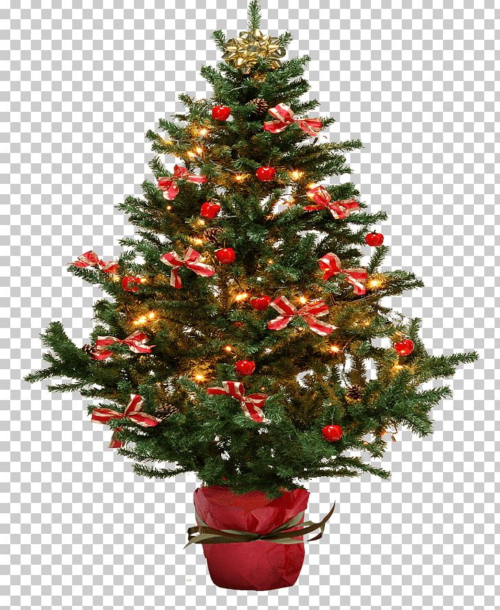 Christmas Tree Fir PNG, Clipart, Art, Branch, Cat, Christmas, Christmas Decoration Free PNG Download