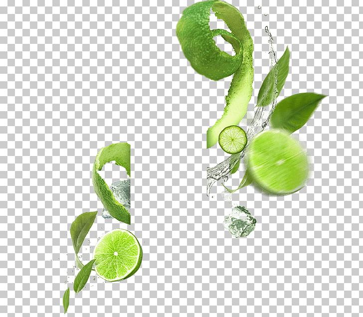 Lemonsoda Mojito Carbonated Water Fizzy Drinks Food PNG, Clipart, Biscuits, Carbonated Water, Fizzy Drinks, Food, Food Drinks Free PNG Download