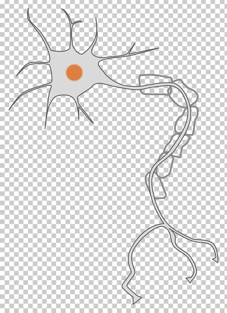 Neuron Nervous System Cell PNG, Clipart, Angle, Area, Arm, Artwork, Axon Free PNG Download