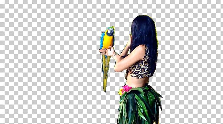 Roar One Of The Boys Teenage Dream Hot N Cold PNG, Clipart, Animals, Hot N Cold, I Kissed A Girl, Katy Perry, Macaw Free PNG Download