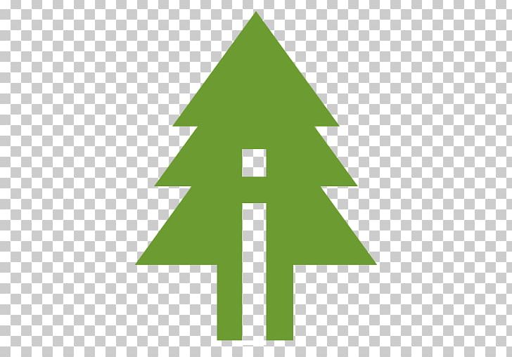 Christmas Tree Christmas Ornament Timberwall Canada PNG, Clipart, Angle, Area, Christmas, Christmas Card, Christmas Decoration Free PNG Download
