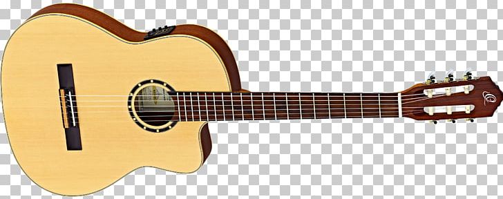 Fender Stratocaster Steel-string Acoustic Guitar Classical Guitar Musical Instruments PNG, Clipart, Acoustic Electric Guitar, Amancio Ortega, Classical Guitar, Cuatro, Cutaway Free PNG Download